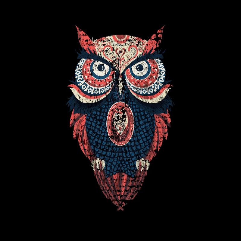 Eule Waldbewohner Eulen Natur