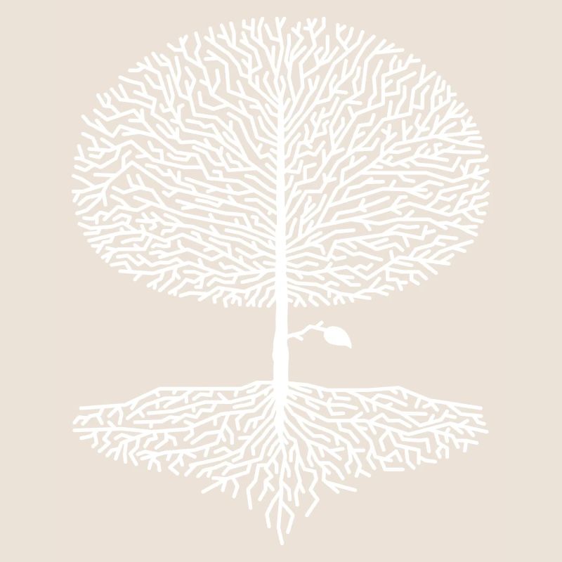 Deciduous Tree Crown Forest Oak Beech Nature Linden Branches