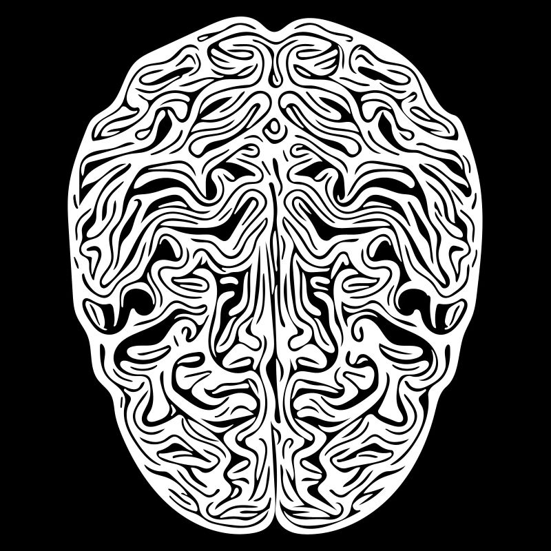 Gehirn - Anatomischer Vector