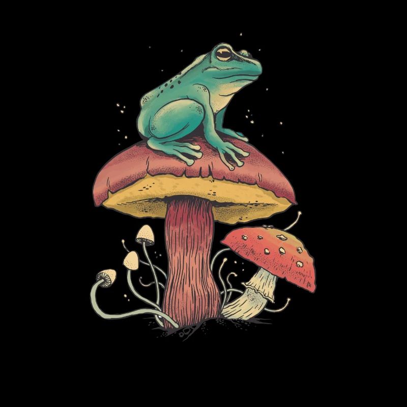 Cueillette de champignons Champignons Grenouille Chercheur de champignons Nature