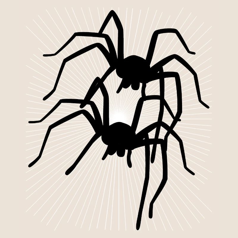 Spinne Spinnen Tiere Kriechen krabbeln Ekel Horror