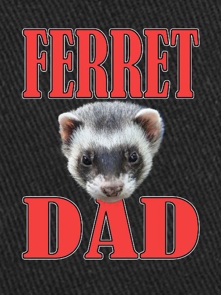 Furet Papa