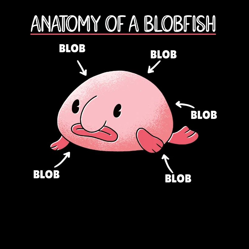Blobfish Explanation Anatomy of an Blobfish