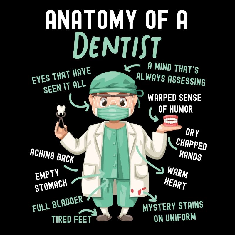 Dentiste Anatomie Anatomie d’un