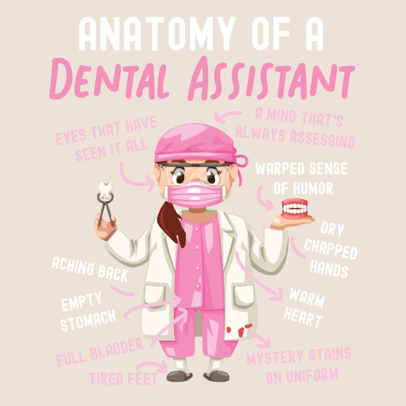 Assistant dentaire Anatomie Anatomie