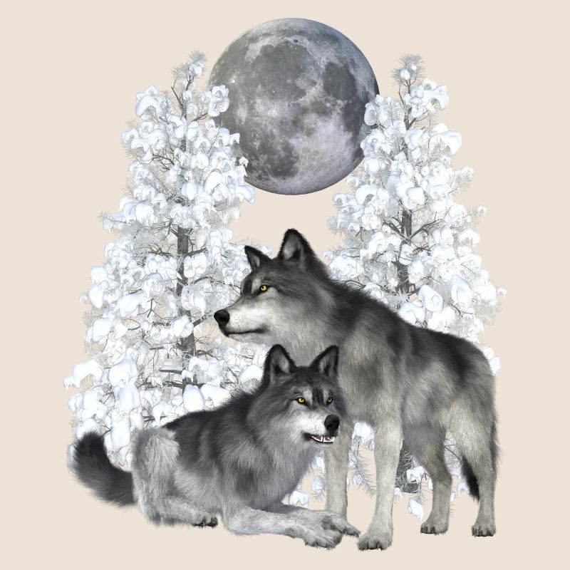 Wolf, Wölfe im Winter