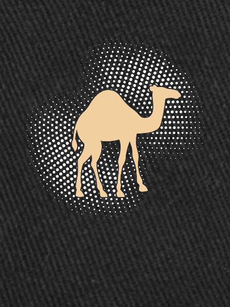 Camel Dromedary