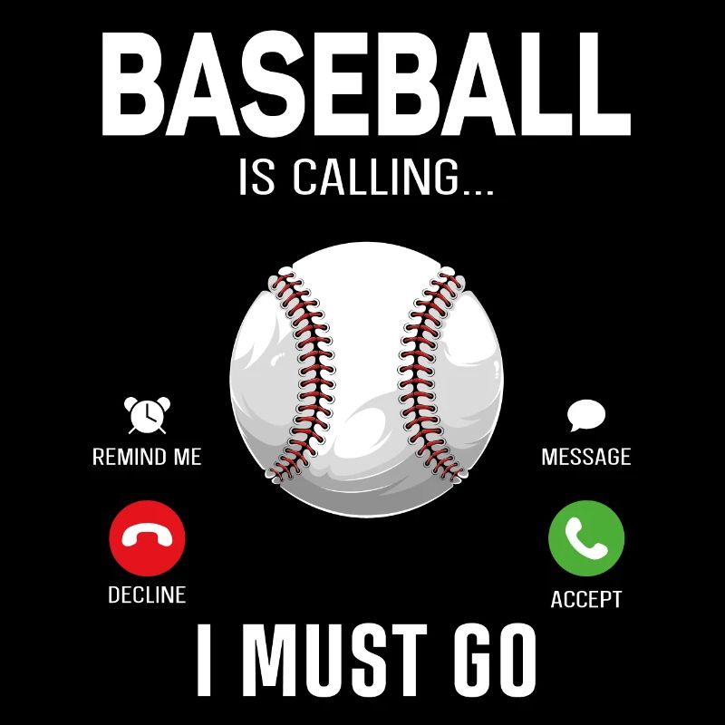 Baseball Fan Phone Display