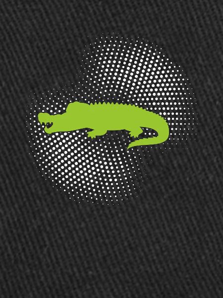 Crocodile