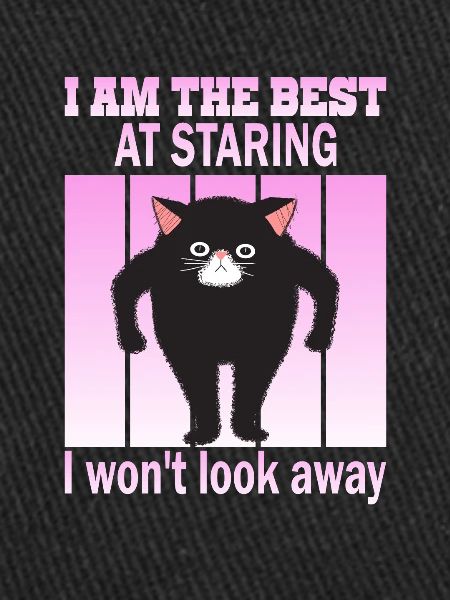 Staring Cat - Cats Staring