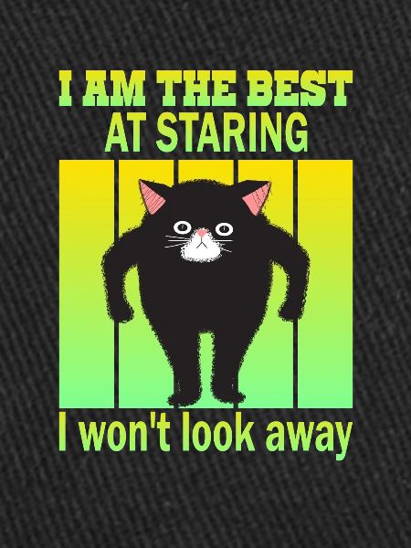 Staring Cat - Cats Staring