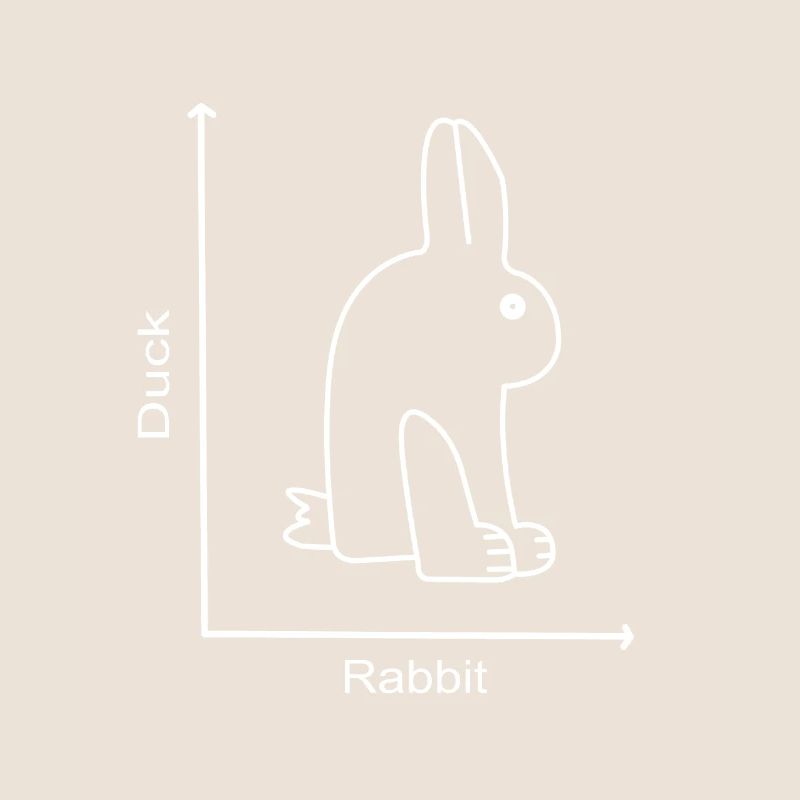 DUCK RABBIT - Rabbit Duck - Graph lesson