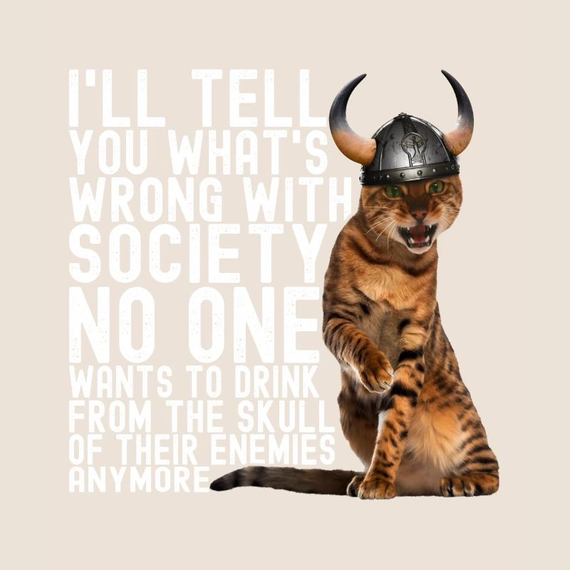 Chat viking