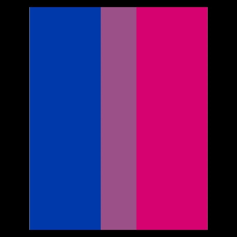 Drapeau LGBTQ Bi