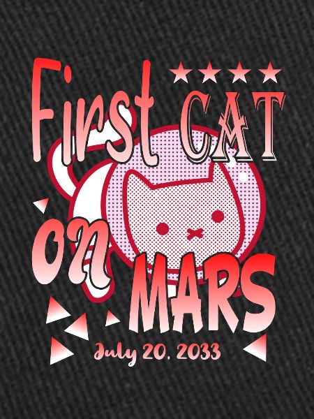 Premier chat sur Mars