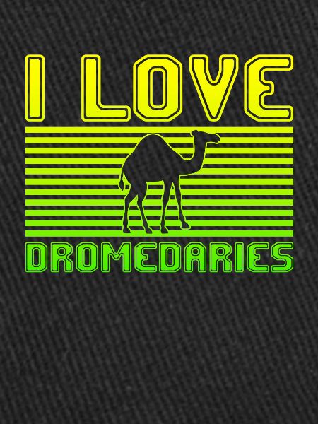 I love dromedaries