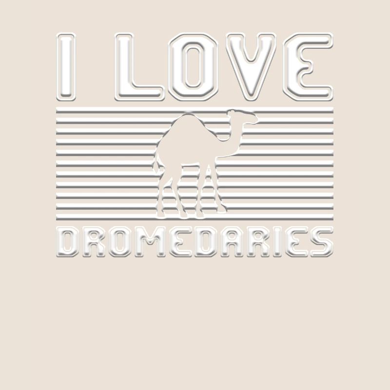 I love dromedaries
