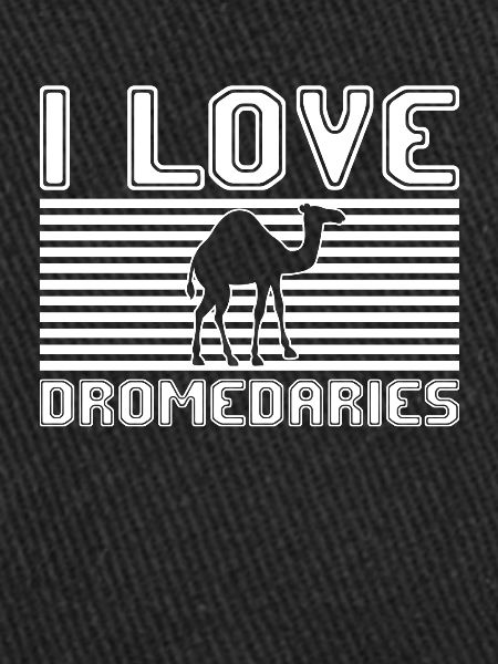 I love dromedaries