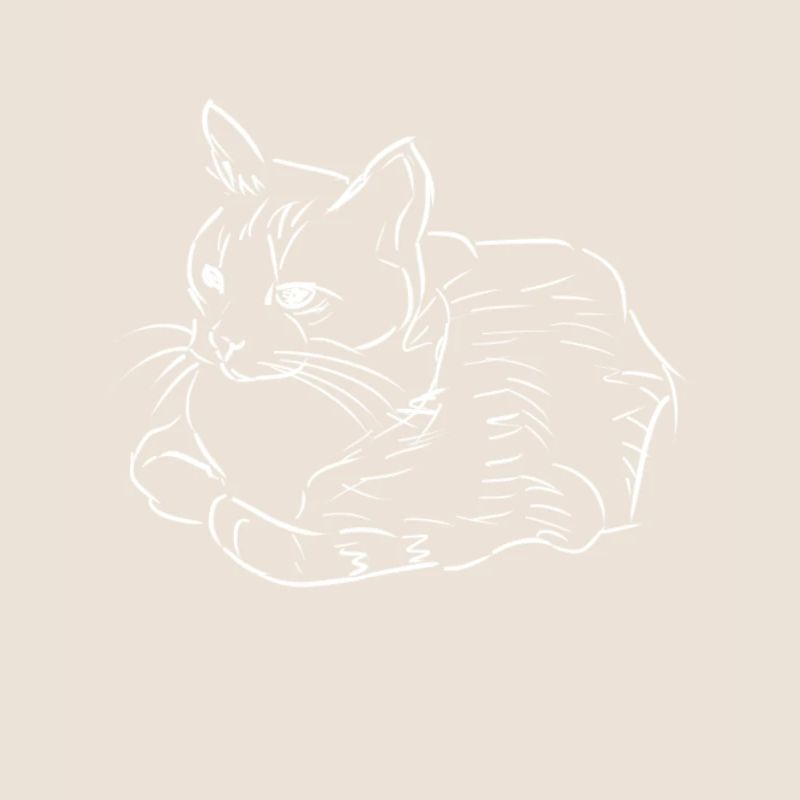 Große Katze Kater Cat Geschenk Geschenkidee