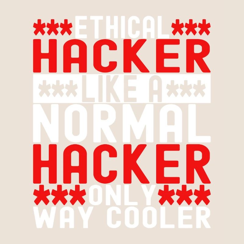 Programmer Cyber Security