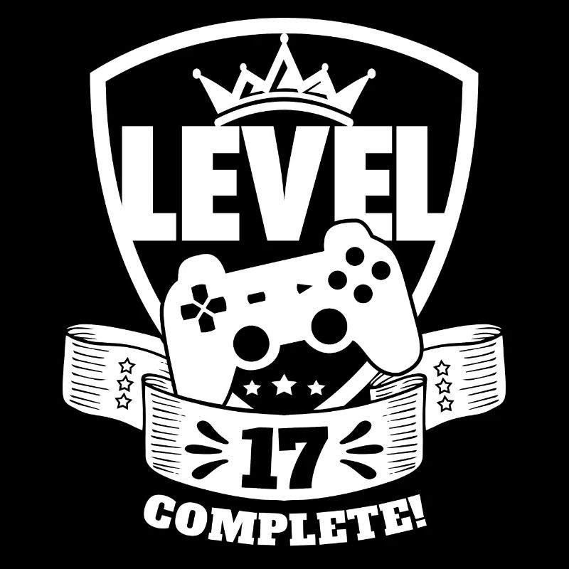 Niveau 17 Cadeau d’anniversaire complet 17 ans
