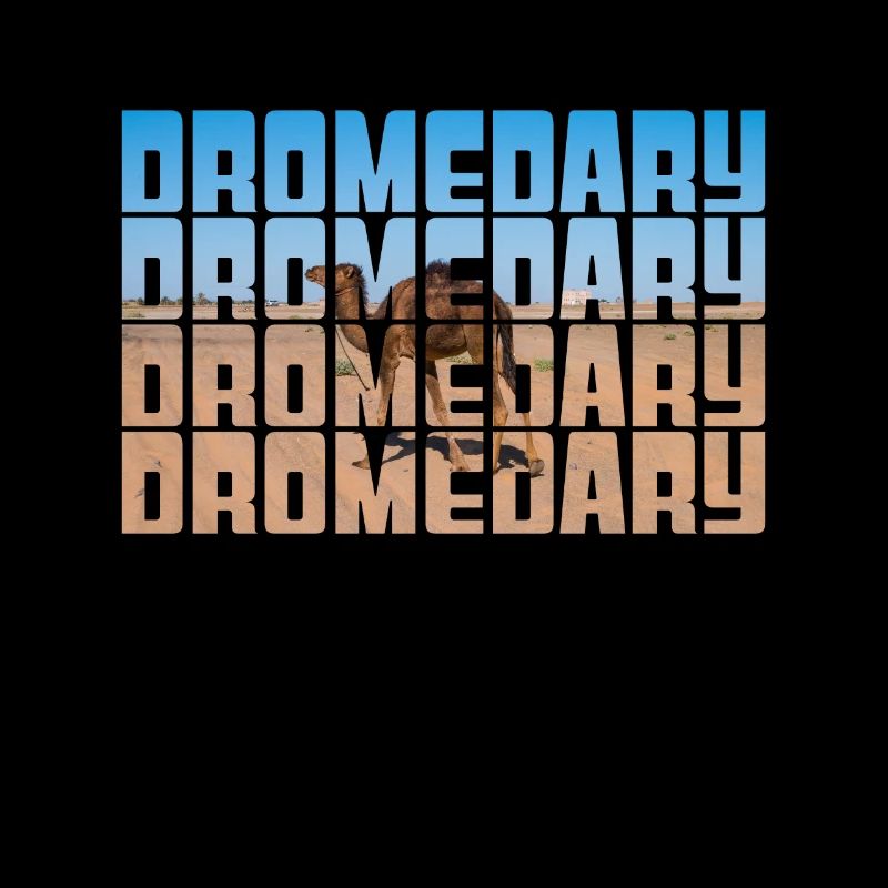 Dromadaire