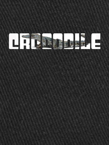Crocodile