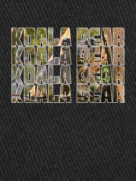 Koala Bear