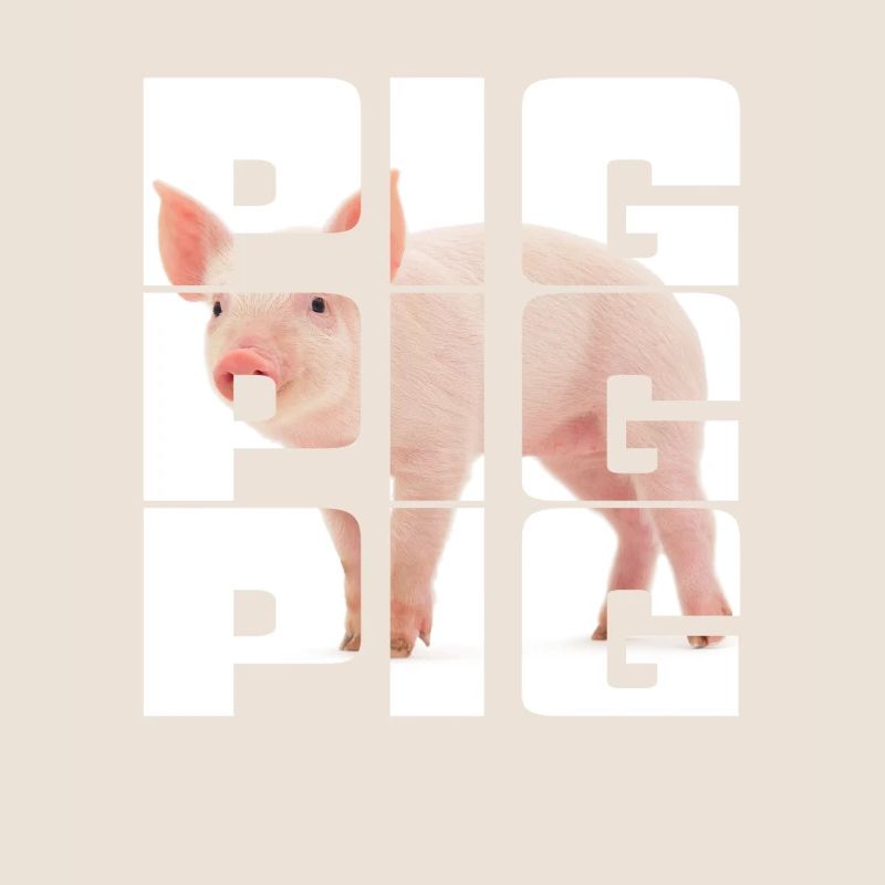 Cochon