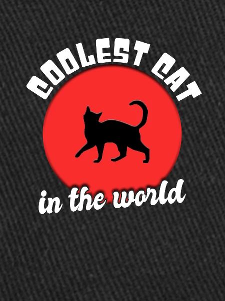 Chat cool dicton