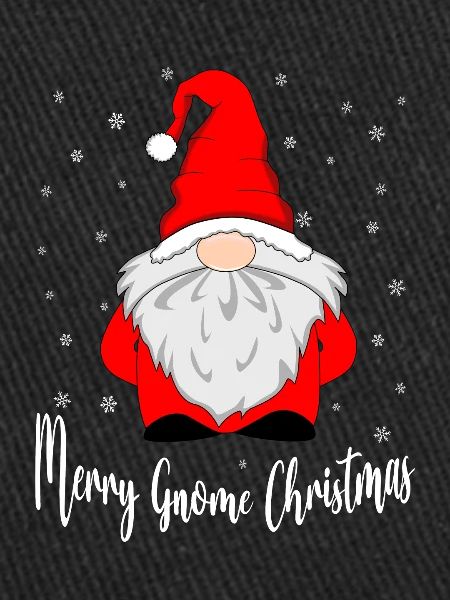 Joyeux Noël Gnome