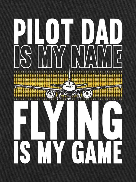Pilot Flugzeug
