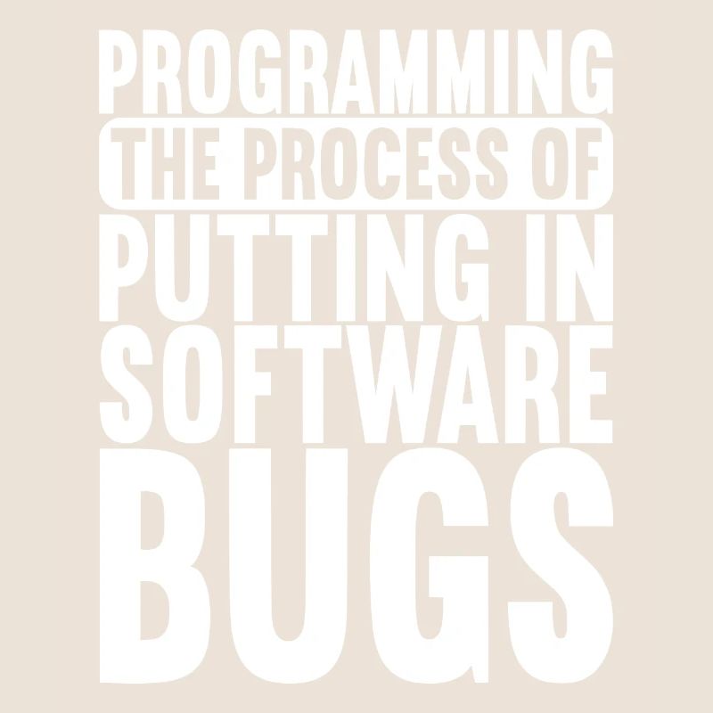 Programmeur Informaticien