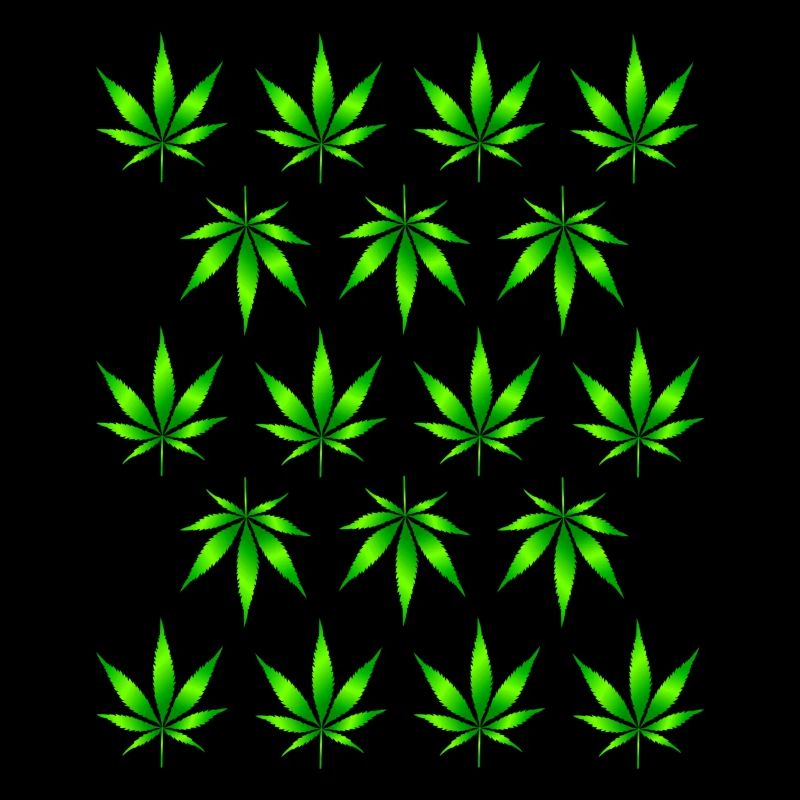 Cannabis