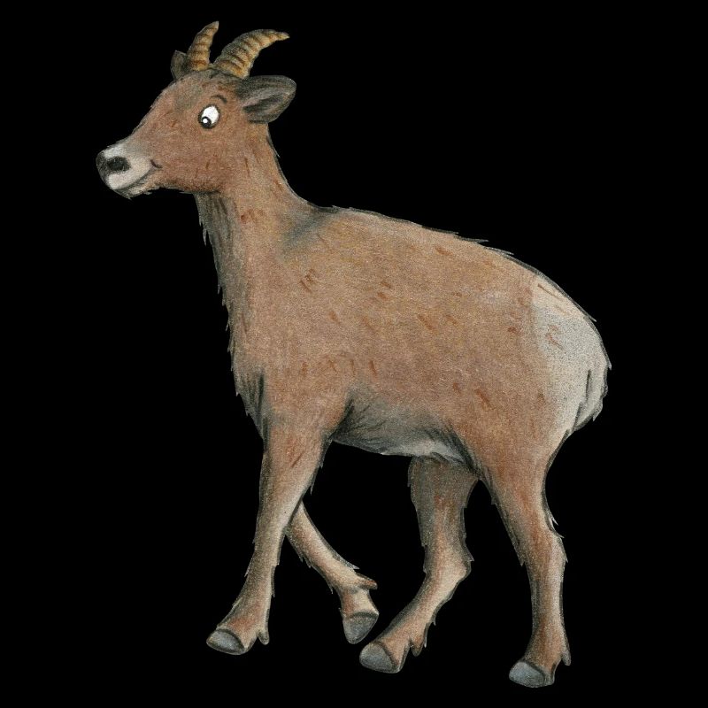 chèvre de montagne