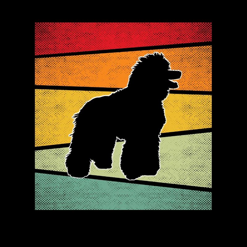 Caniche Rétro