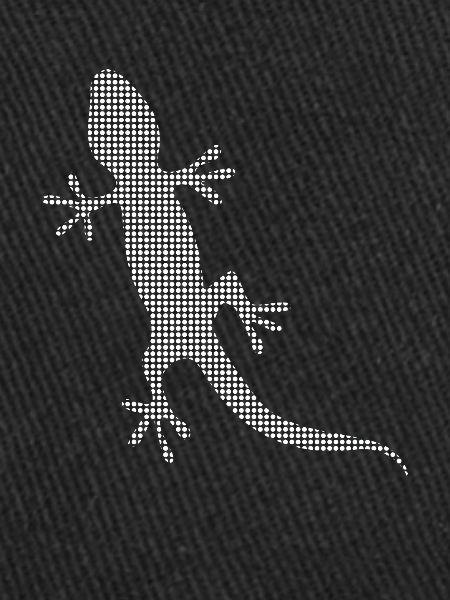Lizard