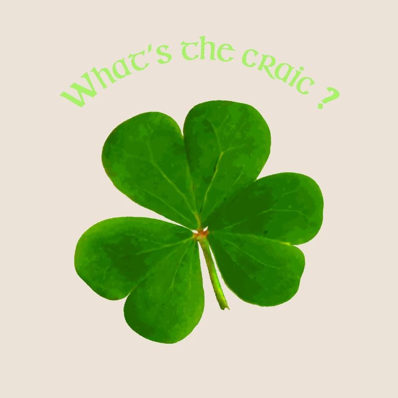 QU’EST-CE QUE LE CRAIC?