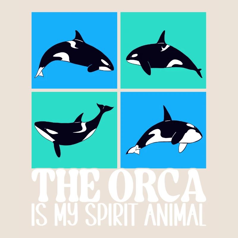 Whale Whale Watching Orca