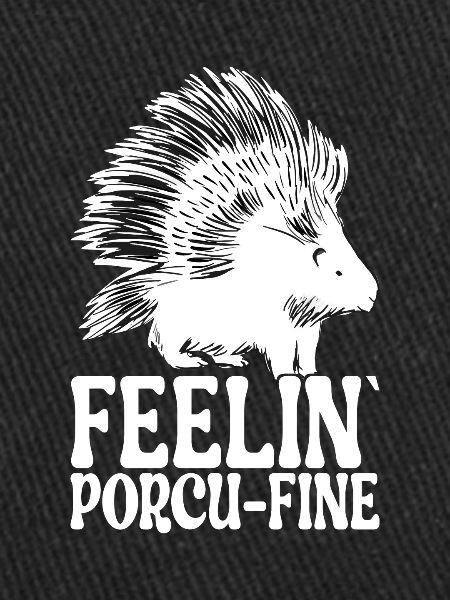 Porc-épic mignon