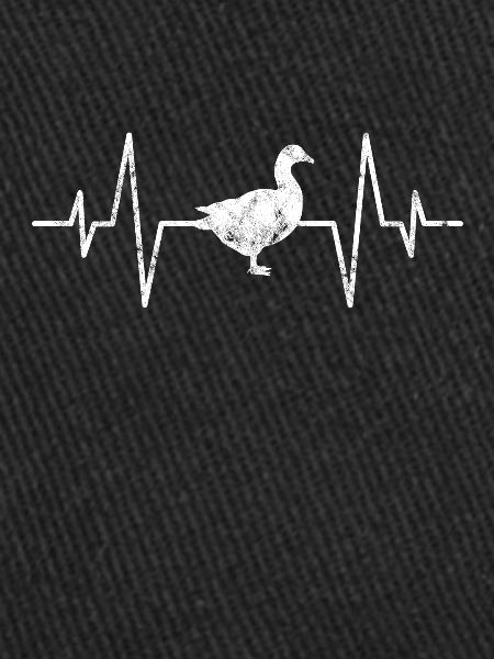 Duck heartbeat