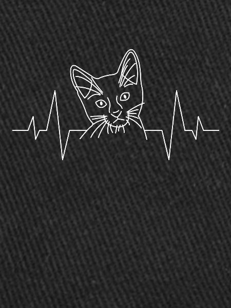 Cœur de chat de chat