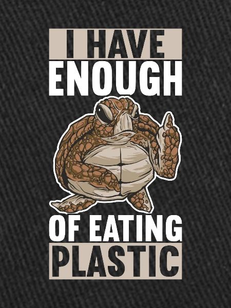 Angry Turtle