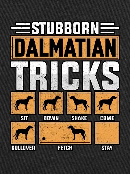 Stubborn Dalmatian Tricks
