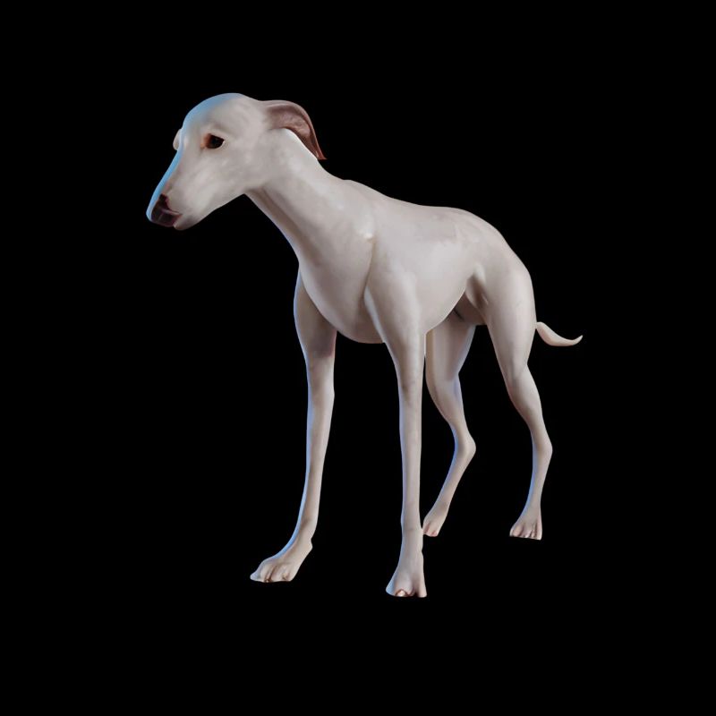 Greyhound Dog
