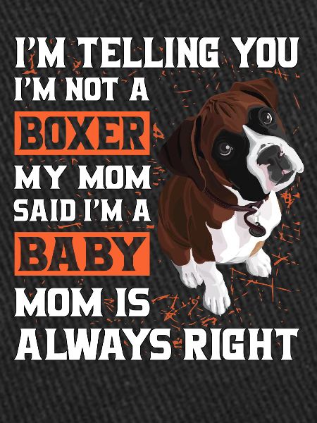 Boxer Bébé Boxer Maman