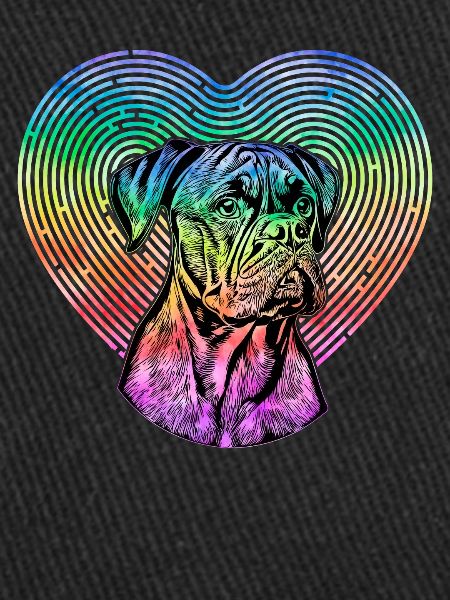 Boxer Rétro