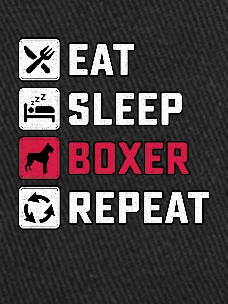 Manger Sommeil Boxer Répéter