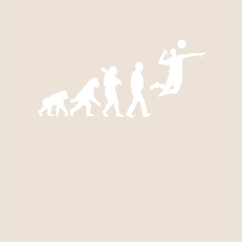 Évolution du volley-ball