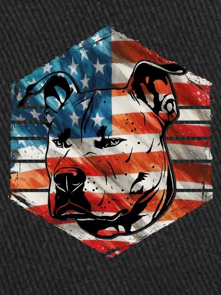 Pitbull États-Unis